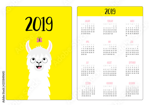 Llama alpaca and butterfly. Simple pocket calendar layout 2019 new year. Week starts Sunday. Cute cartoon character. Vertical orientation. Flat design. Yellow background.