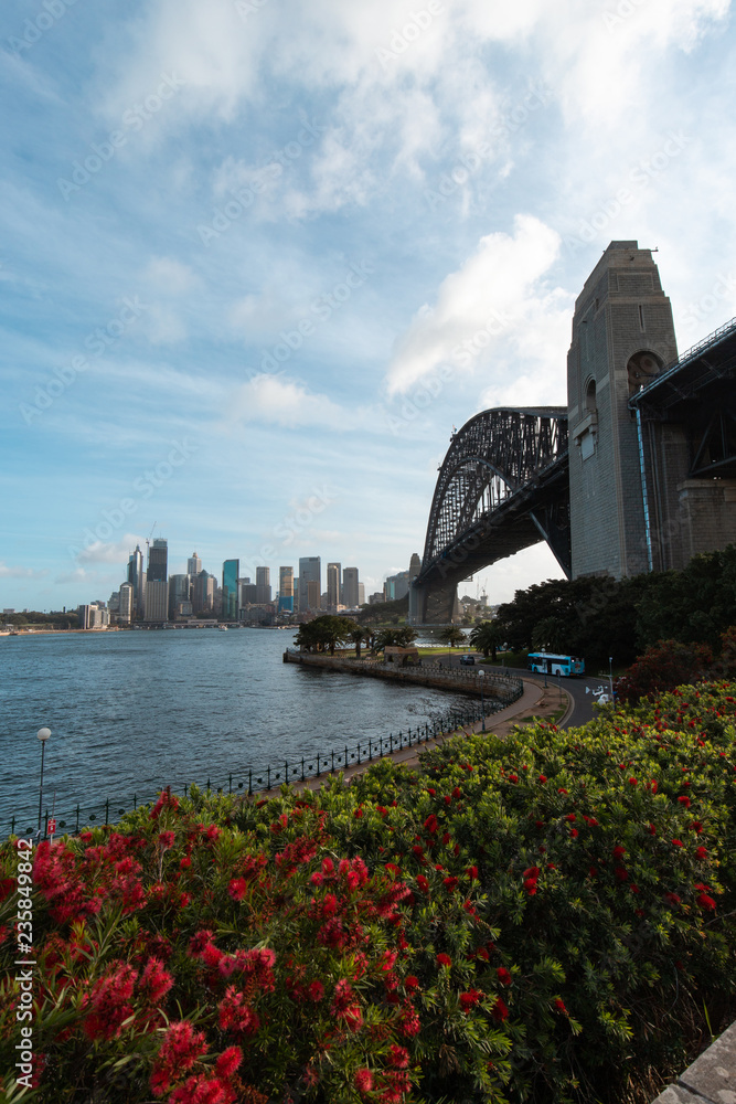 Fototapeta premium Sydney Harbour Bridge with CBD skyline during the day.
