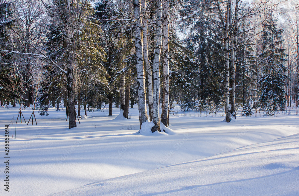 Winter landscape in clear weather. Morning bright sun. Snow plays shine. Frosty Snow Park Winter landscape in clear weather. Morning bright sun. Snow plays shine. Frosty Snow Park