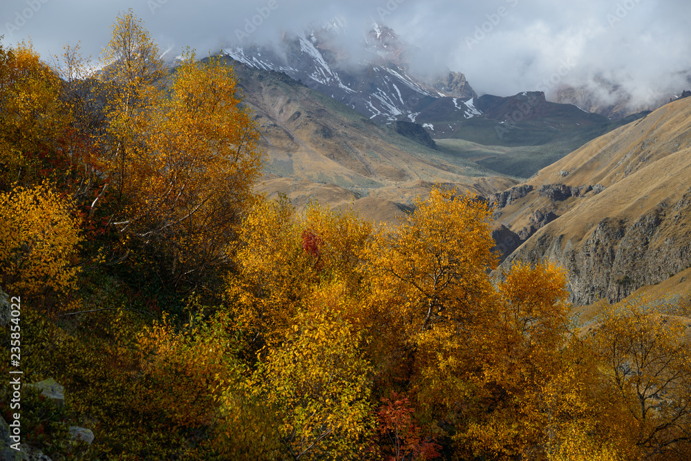 Naklejka premium Yellow trees against mountains background
