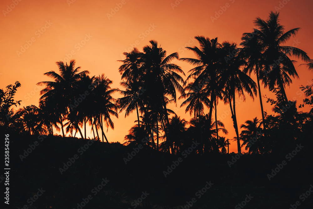 silhouettes of palm trees against the orange sky at sunrise
