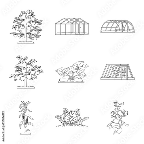 Isolated object of greenhouse and plant logo. Set of greenhouse and garden stock vector illustration.
