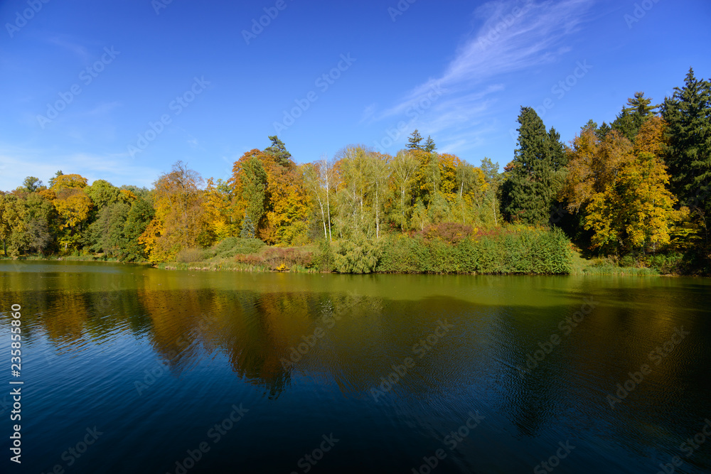 Lake with autumn trees