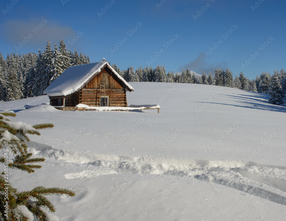 Lonely wood house under snow