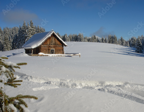 Lonely wood house under snow © ggaallaa
