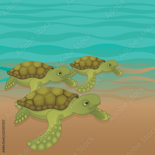 Fototapeta Naklejka Na Ścianę i Meble -  Cute vector sea turtle illustration.