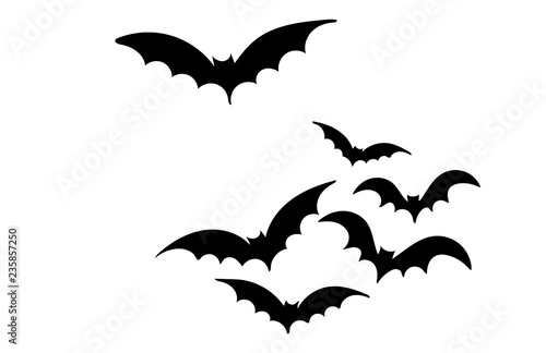 Canvastavla Bat