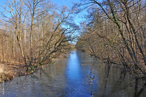 Swamps, canals and lakes in the winter forest