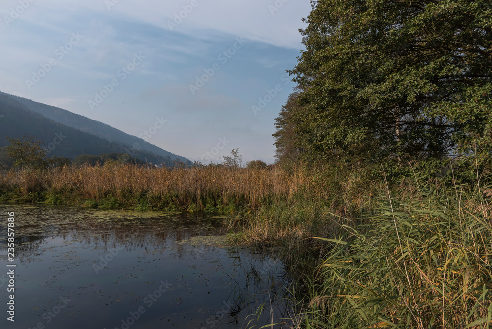 Bleistätter Moor Bleistätter Moor