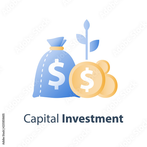 Money bag and coins with plant stem, investment fund, pension savings account, superannuation payment, capital allocation