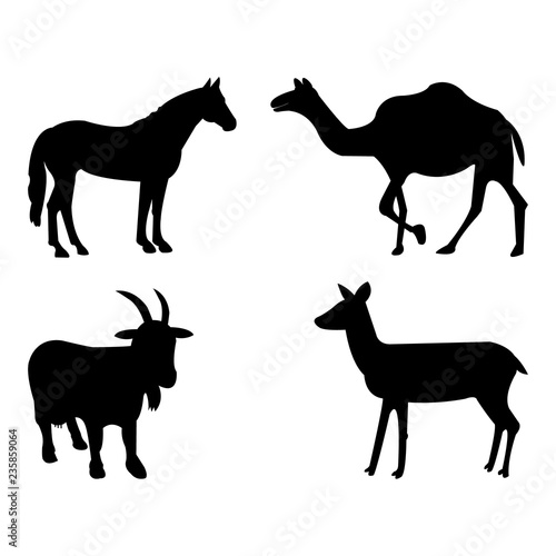 Vector set of animals on white background