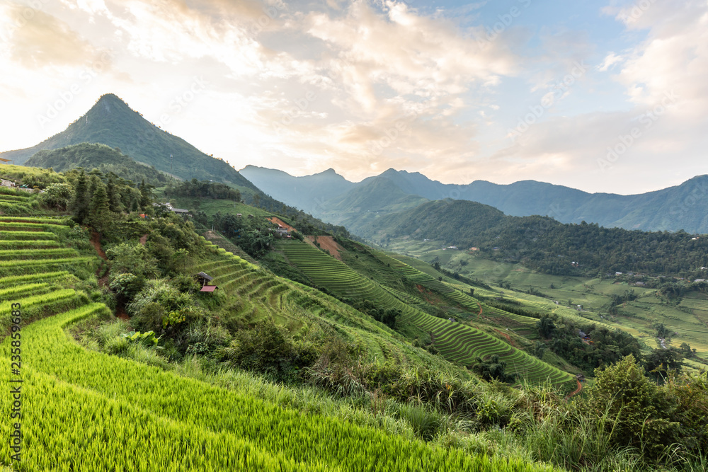 Beautiful Natural Rice fields terrace in SAPA northwest of Vietnam in summer