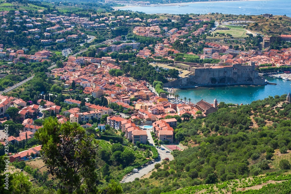 Collioure, houses and medieval fortress walls, Languedoc-Roussillon
