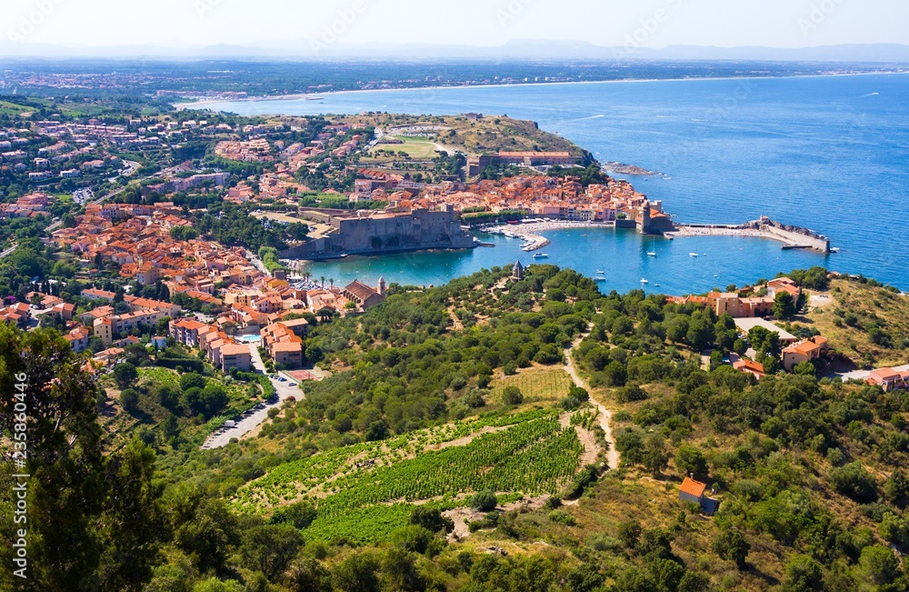 Collioure, houses and medieval fortress walls, Languedoc-Roussillon