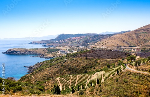 Landscape near Banyuls sur Mer, Pyrenees Orientales, Roussillon, Vermilion coast, France