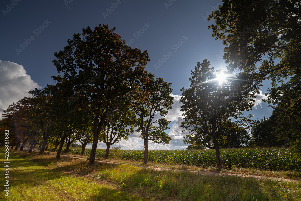 Obraz premium Gravel road in countryside.