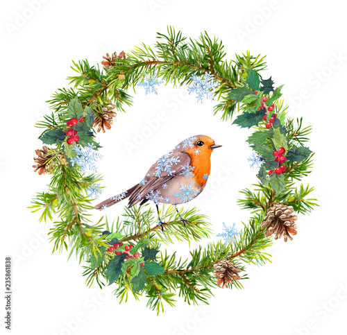 Xmas wreath with robin bird, snowflakes. Winter watercolor - christmas tree branches, holly, cones. © zzorik
