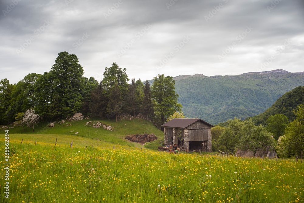 Obraz premium Typical Slovenian Farm house