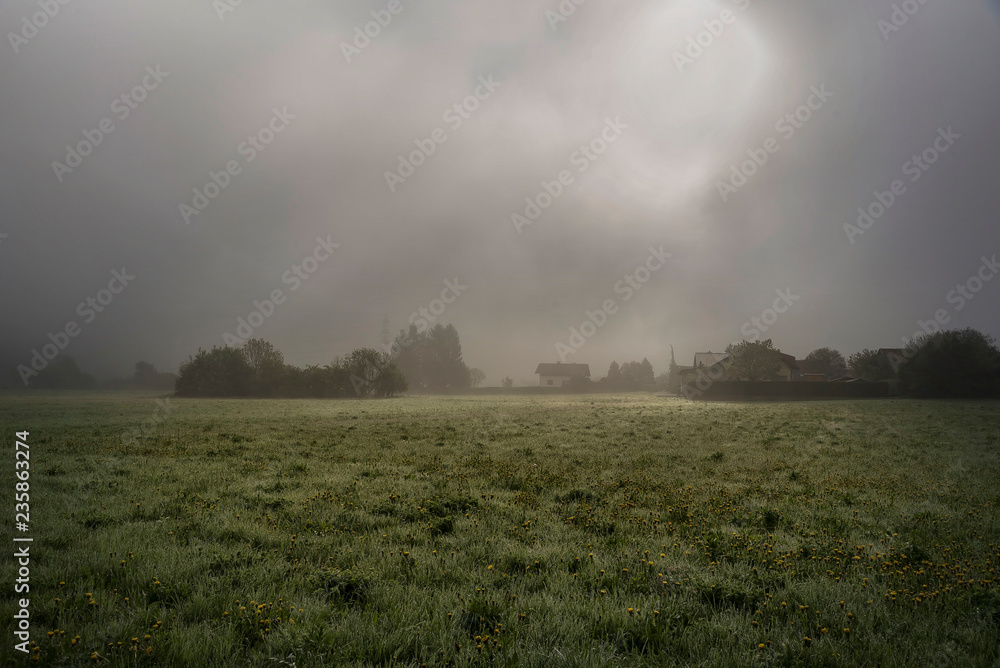 Fototapeta premium Wiese nach dem Regen