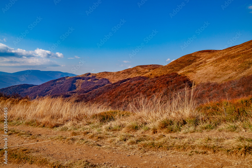 Obraz premium Landscape of autumnal peaks of the Carpathians.