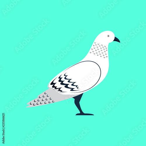 Pigeon Dove Bird Stand Vector and Icon
