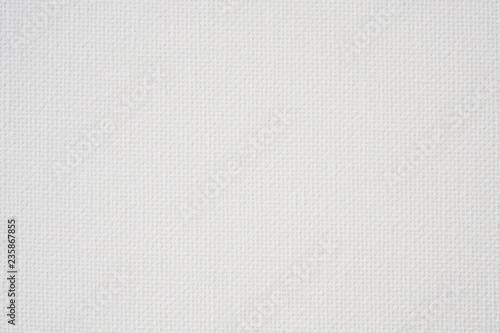 Fotografia, Obraz White canvas texture background