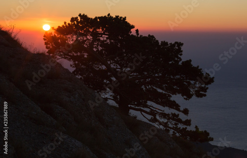 Beautiful sunrise. Silhouette of mountain and pine against the backdrop of the bright sun rising above the sea © yanakoroleva27