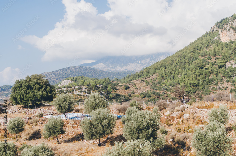 Landscape with mountain and beehives, Fethiye, Antalya, Turkey