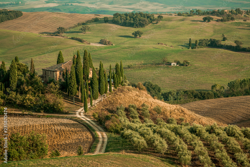 Italian villa surrounded by cypress trees in the middle of green vineyards hills of Tuscany.