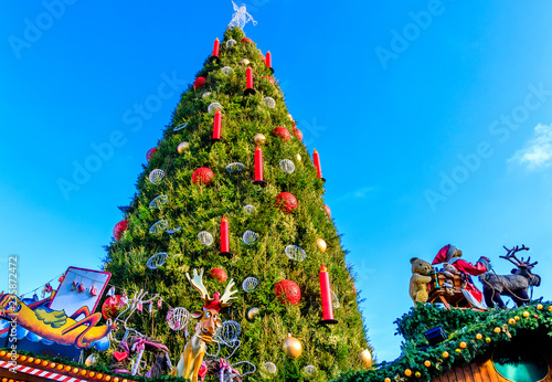 Christmas tree in Dortmund placed in the heart of the city on the old market place (Alter Markt), Germany