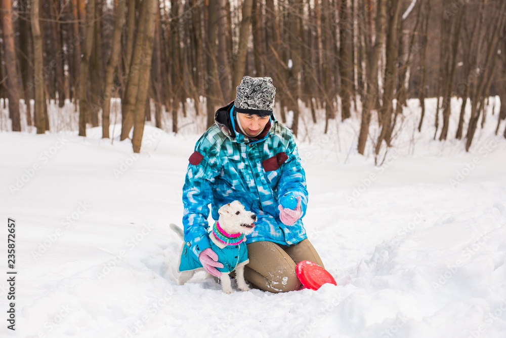 Jack Russell Terrier. Dog playing in winter park. Pet concept. Jack Russell Terrier. Dog playing in winter park. Pet concept.