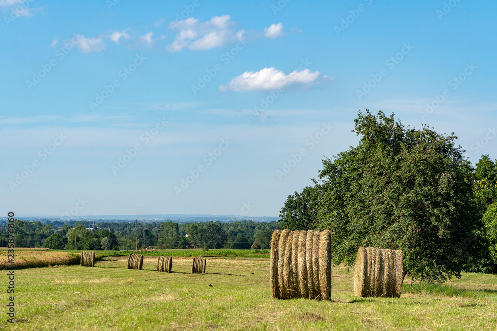 Country landscape near Boves, Piedmont