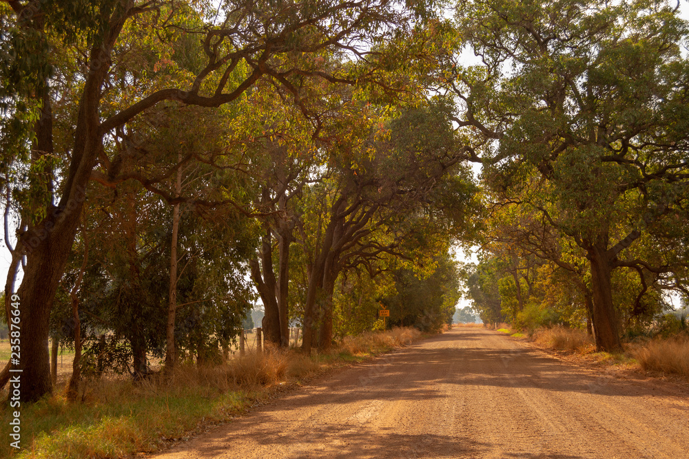 Obraz premium Road Landscape outback trees sun light Perth