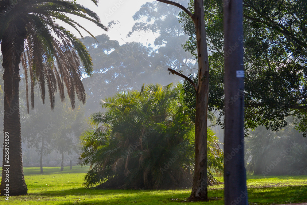 Smoke landscape of Perth surroundings in nature Smoke landscape of Perth surroundings in nature