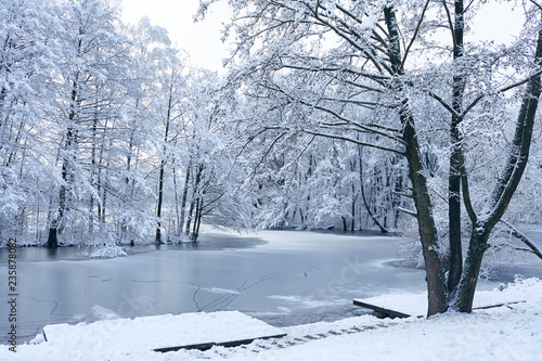 beautiful winter park © fox17
