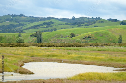 Obraz na płótnie Wetlands and hills near Miranda, North Island, New  Zealand