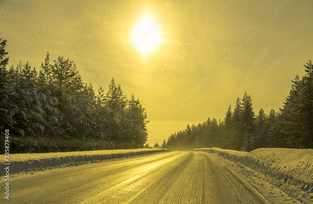Empty Road in the Winter Forest and the Sun