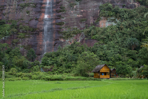 Beautiful rice fields with waterfall in the background at Harau Valley, Sumatra, Indonesia photo