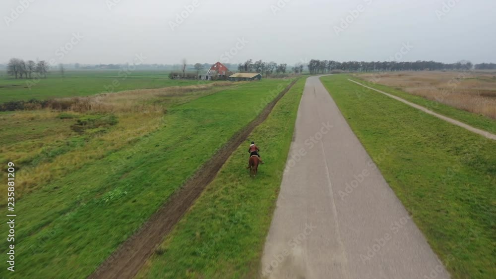 Horse and rider galloping in countryside in winter, Holland. Horse and rider galloping in countryside in winter, Holland.