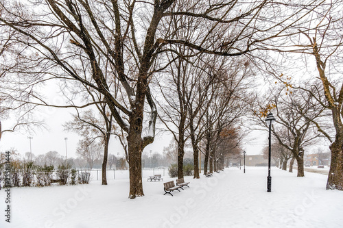 Montreal park during a snowfall