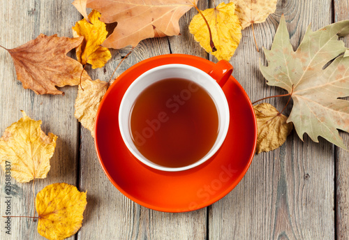 Cup of tea and autumn leaves on the table © NewFabrika