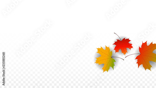 September Vector Background with Golden Falling Leaves. Autumn Illustration with Maple Red, Orange, Yellow Foliage. Isolated Leaf on Transparent Background. Bright Swirl. Suitable for Posters.