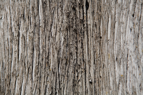 The wood texture is photographed close-up.