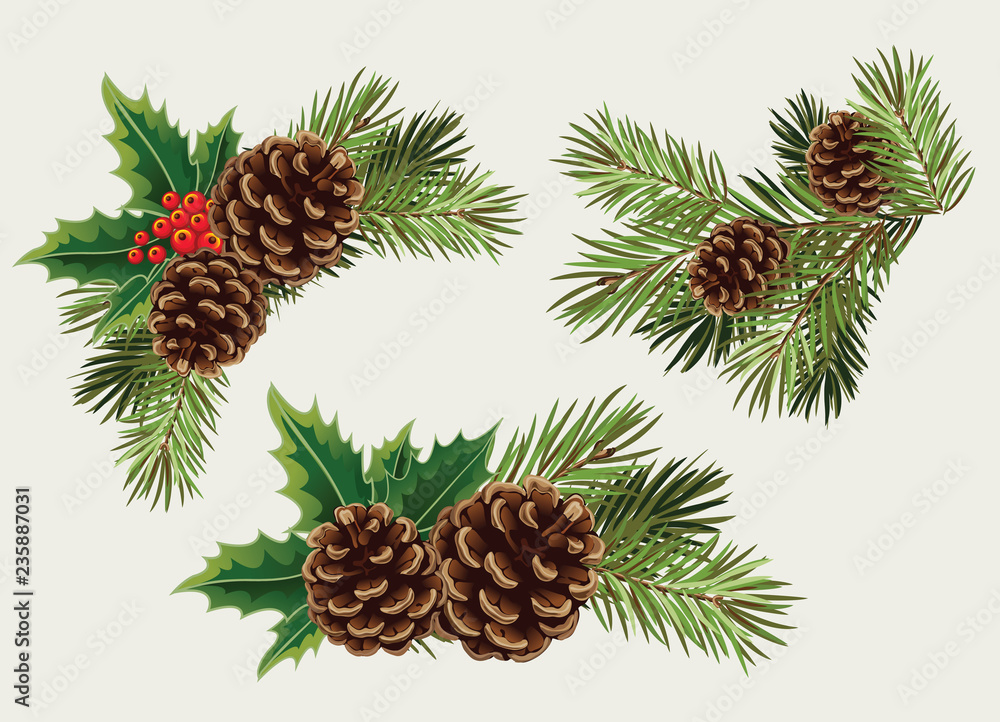 Vector collection branches of Christmas tree with pine cone - obrazy, fototapety, plakaty 