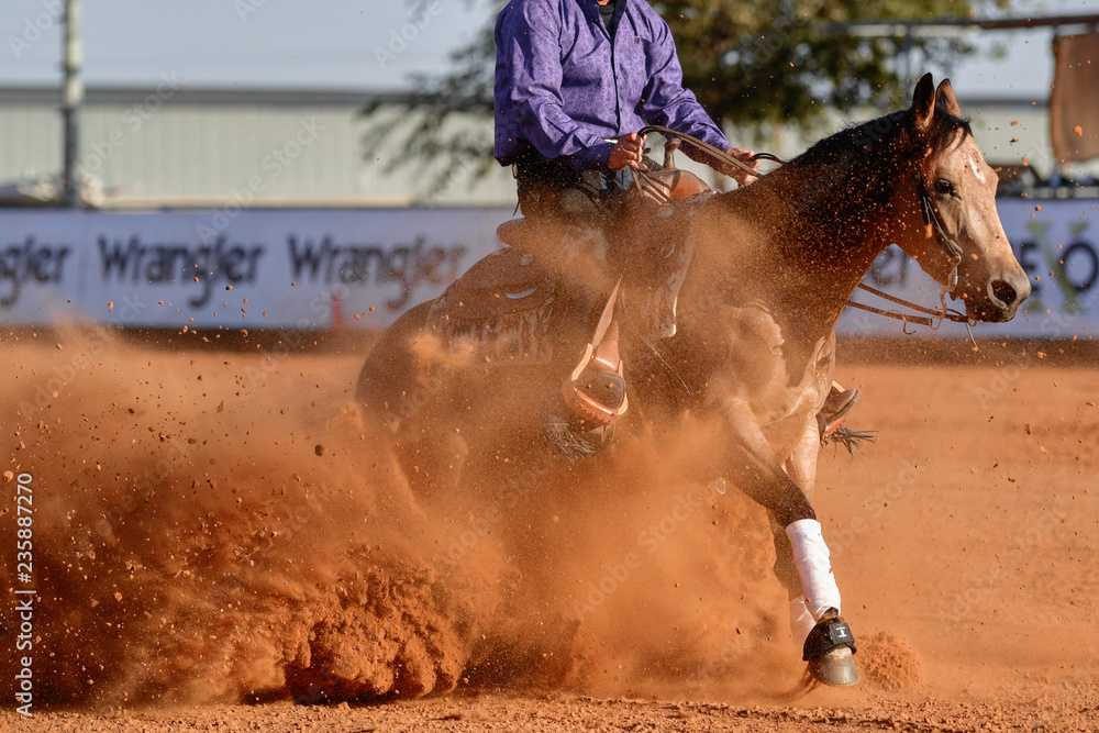Obraz premium The side view of a rider in jeans, cowboy chaps and checkered shirt on a reining horse slides to a stop in the red clay an arena.