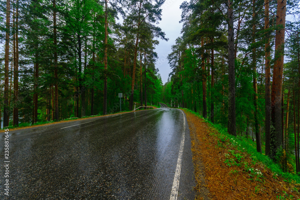 Obraz premium Road and forest in the Punkaharju ridge