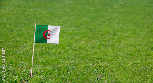 Algeria flag. Photo of Algerian flag on a green grass lawn background. Close up of national flag waving outdoors.