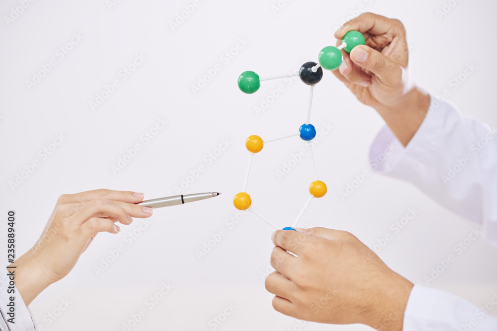Crop hands of scientists making presentation with colorful molecular model on white backdrop Crop hands of scientists making presentation with colorful molecular model on white backdrop
