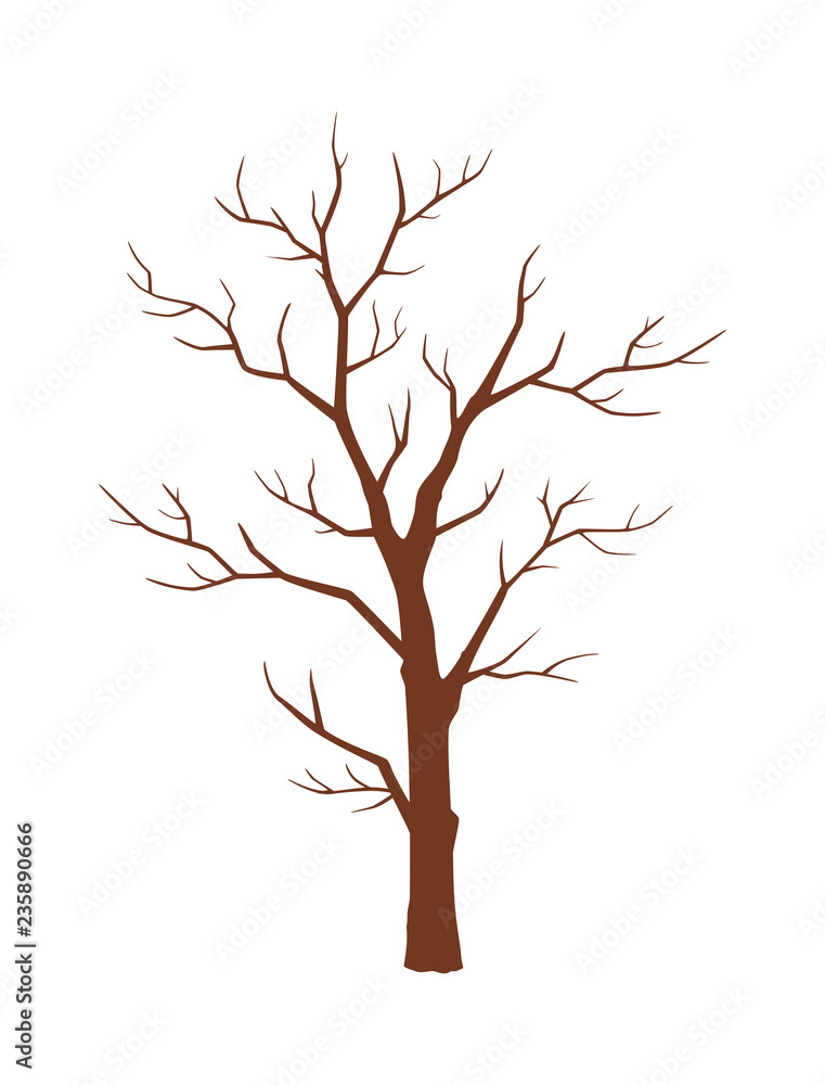 Winter tree. A tree without leaves. Stock Vector