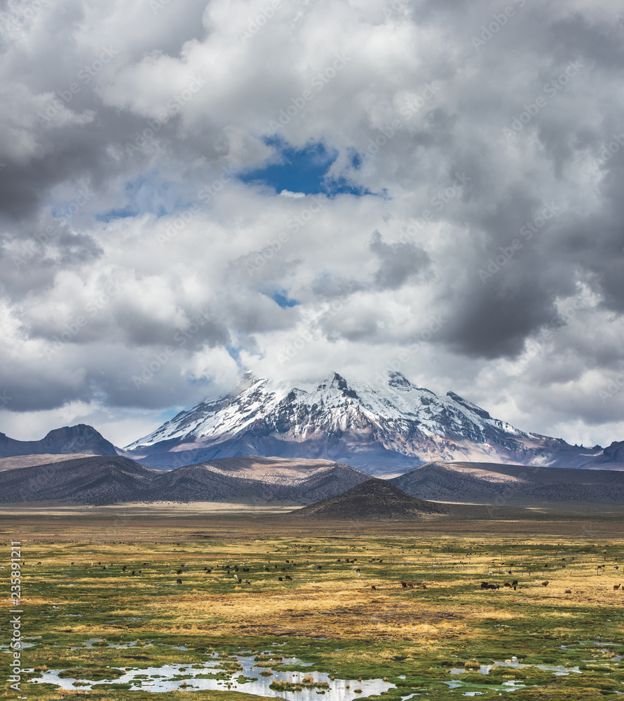 Fototapeta premium bolivia, Sahama